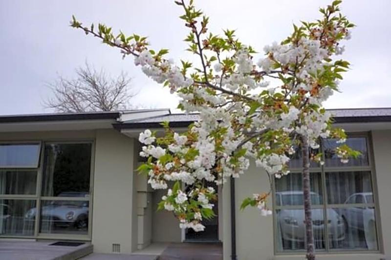 Tower Junction Motor Lodge- Motel With Airport And Railway Station Shuttle Service Christchurch Bagian luar foto